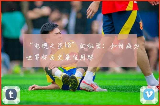 “电视之星18”的秘密:如何成为世界杯历史最佳用球