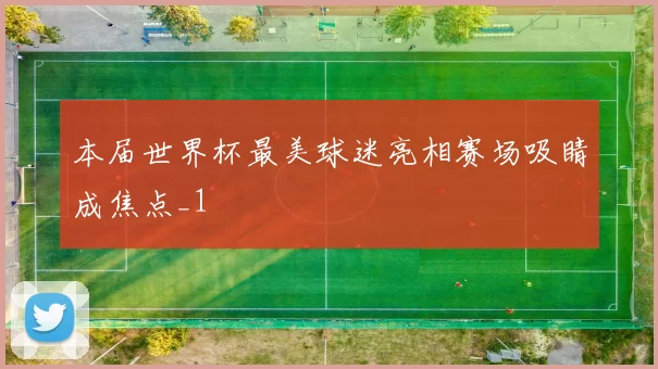 本届世界杯最美球迷亮相赛场吸睛成焦点_1