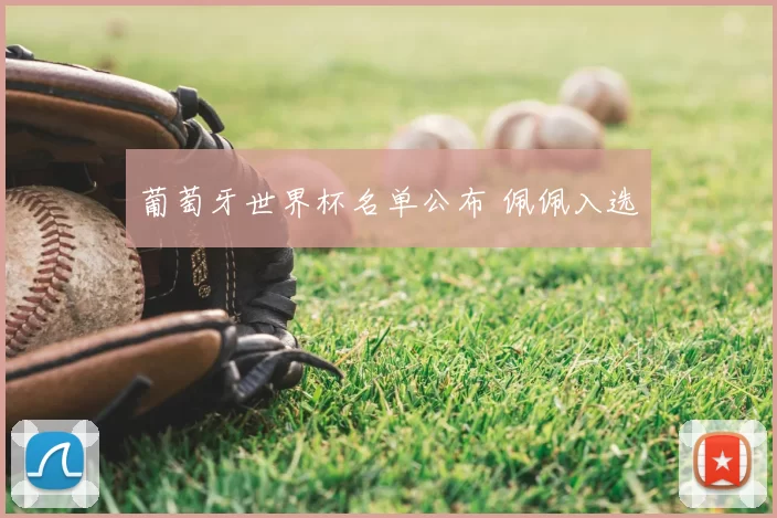 葡萄牙世界杯名单公布 佩佩入选