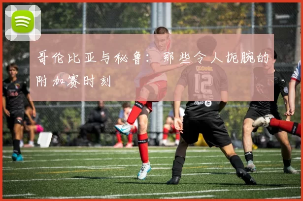 哥伦比亚与秘鲁:那些令人扼腕的附加赛时刻