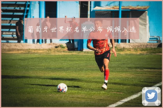 葡萄牙世界杯名单公布 佩佩入选