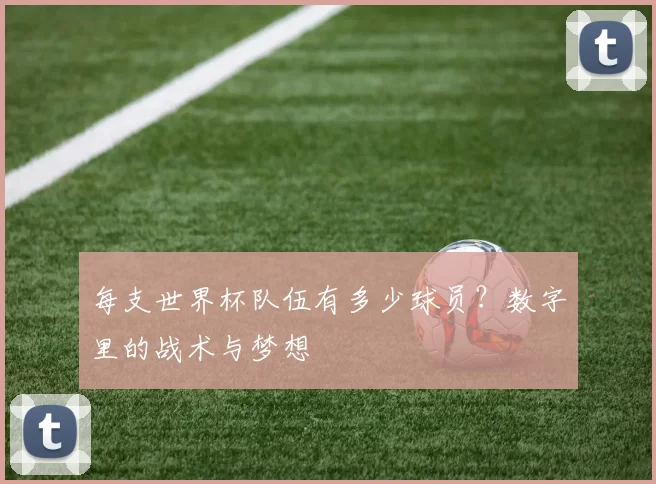 每支世界杯队伍有多少球员？数字里的战术与梦想