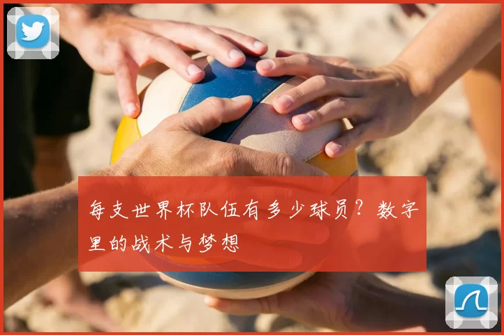 每支世界杯队伍有多少球员?数字里的战术与梦想