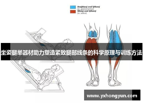 坐姿腿举器材助力塑造紧致腿部线条的科学原理与训练方法